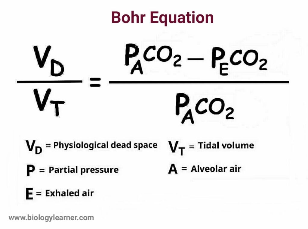 Bohr equation Respiratory dead space formula